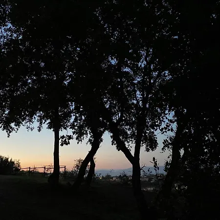 Apartamento Su Lidone *